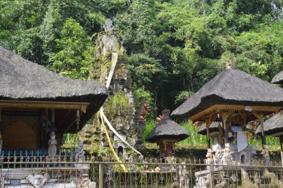 bali (109)