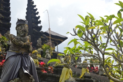 bali (61)