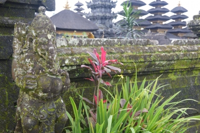 bali (69)