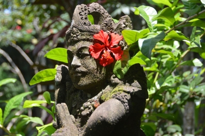 ubud (12)