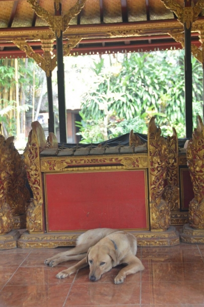 ubud (21)