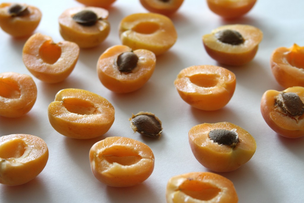 Stuffed Apricots with Honey Cashew Cream and Fresh Basil