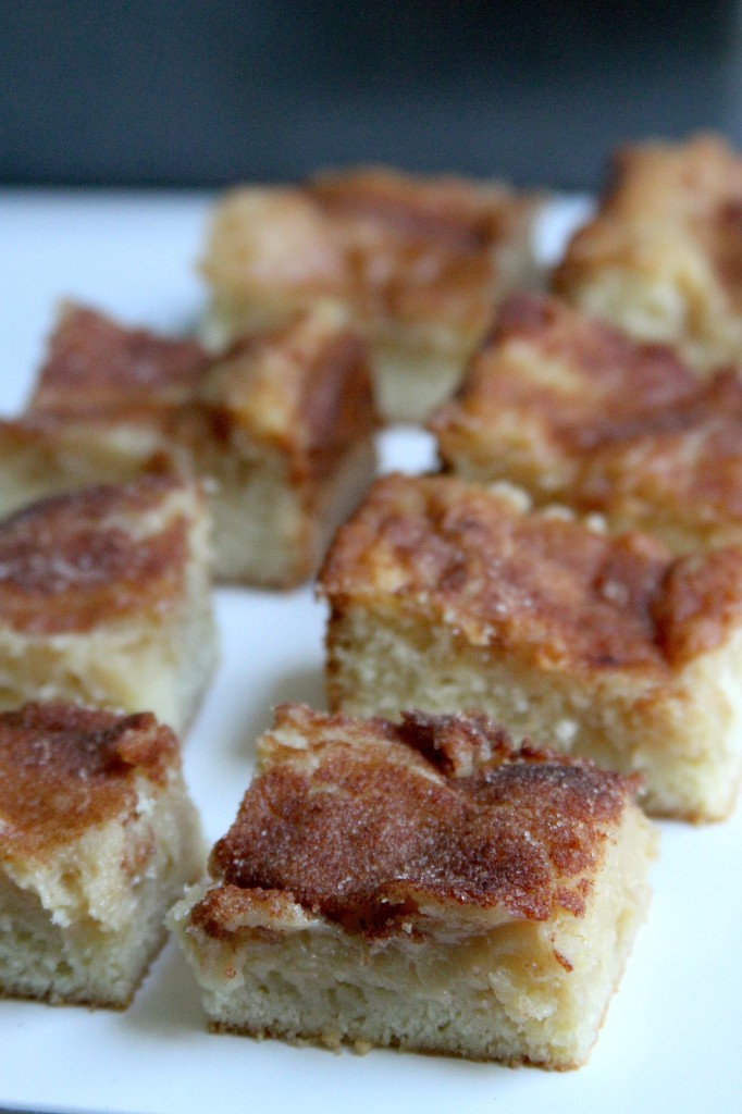 Gooey Cinnamon Squares