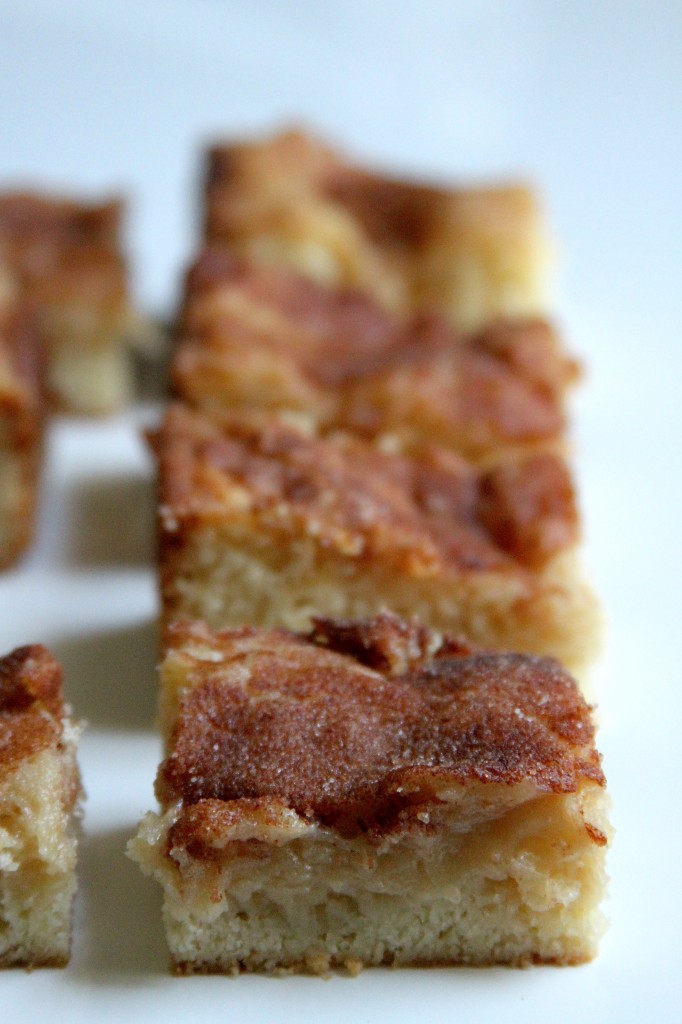Gooey Cinnamon Squares