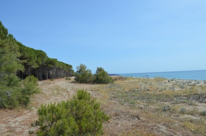 sardaignecoteest (101)