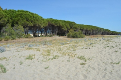 sardaignecoteest (103)