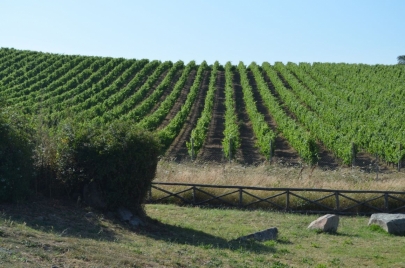 sardaignecoteest (31)