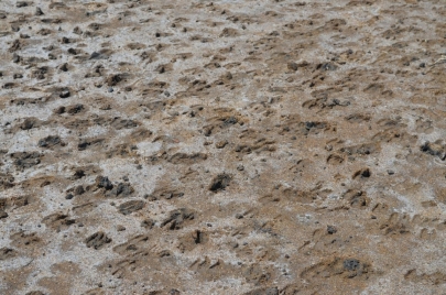 sardaignecoteest (39)