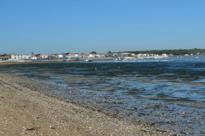 ile de re (11)