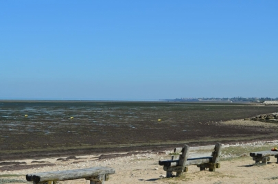 ile de re (41)