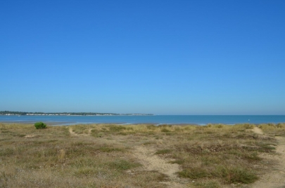 ile de re (7)