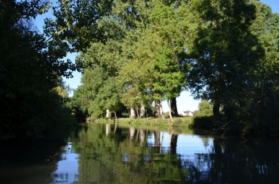 maraispoitevin (28)