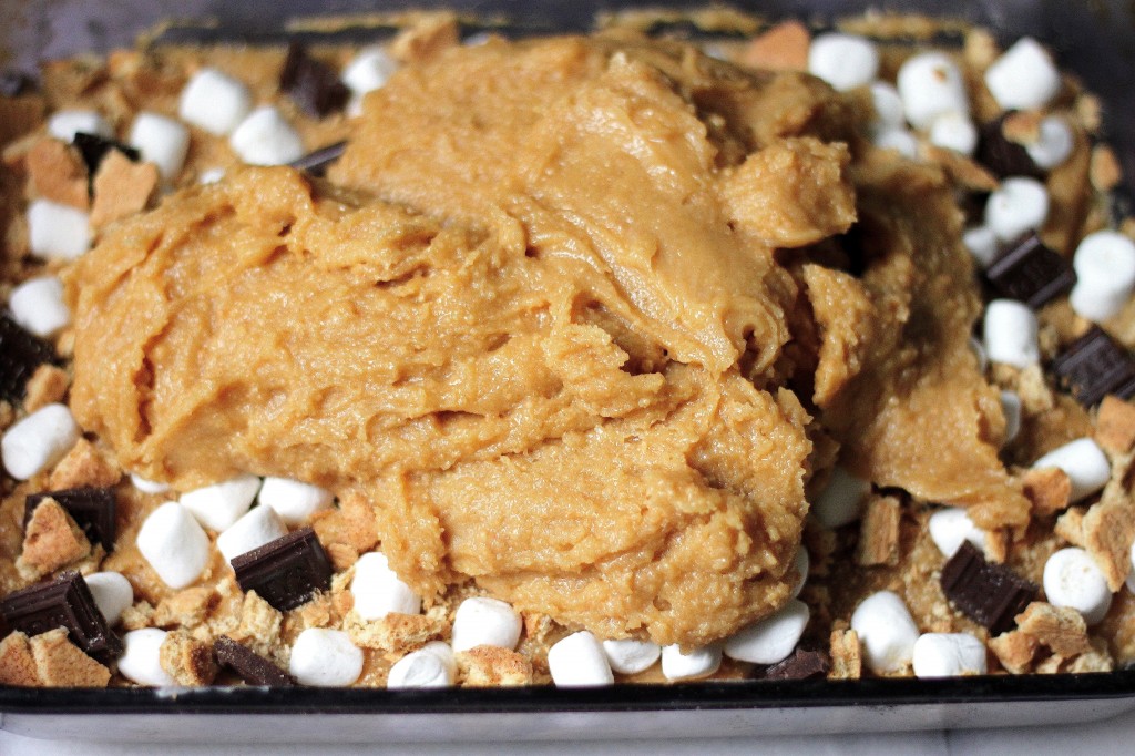 Double Decker S'mores Blondies