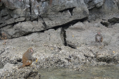 baiedhalongvietnam (113)