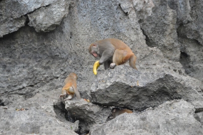 baiedhalongvietnam (115)