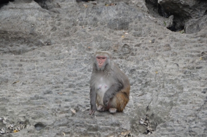 baiedhalongvietnam (117)