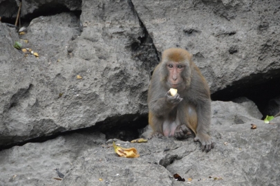 baiedhalongvietnam (118)