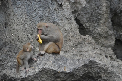 baiedhalongvietnam (121)