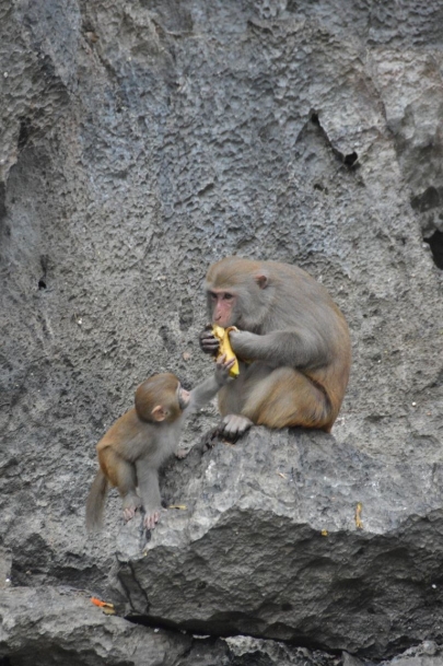 baiedhalongvietnam (122)