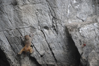 baiedhalongvietnam (128)