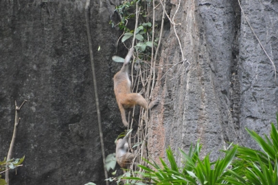 baiedhalongvietnam (134)