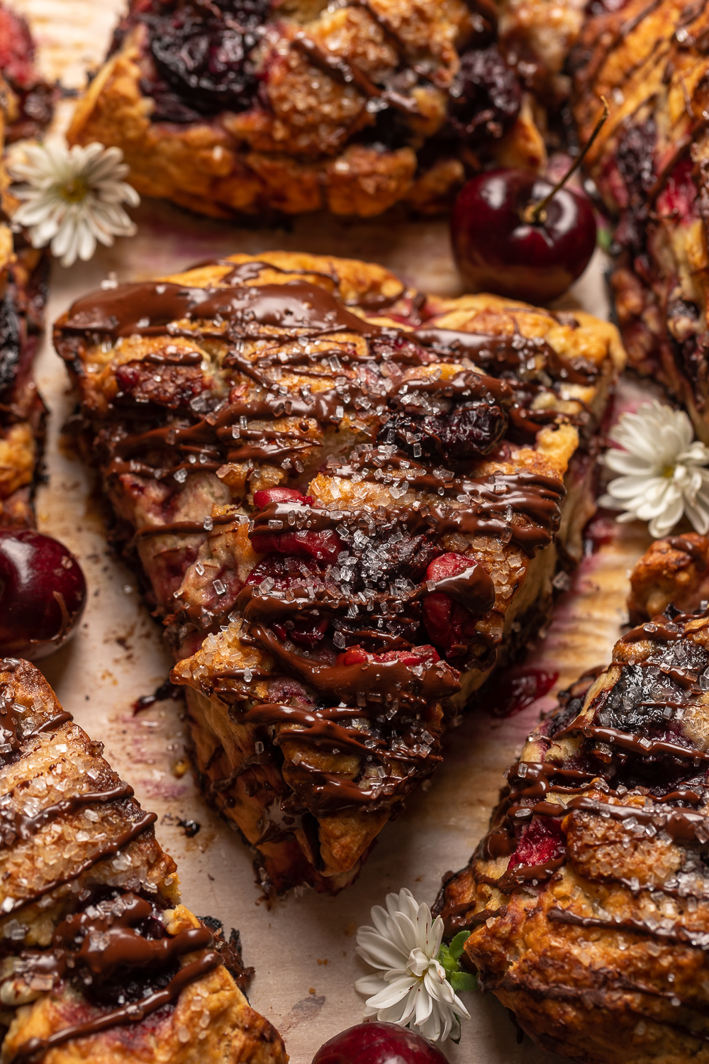 Golden brown, loaded with juicy cherries, and drizzled with dark chocolate, these Chocolate Covered Cherry Scones are a total showstopper! Perfect for breakfast or brunch and so good with a cup of coffee! For an extra chocolate kick, add a 1/2 cup of mini chocolate chips!