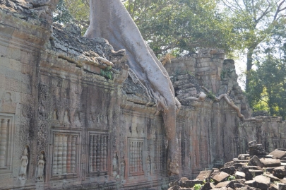 angkor (131)