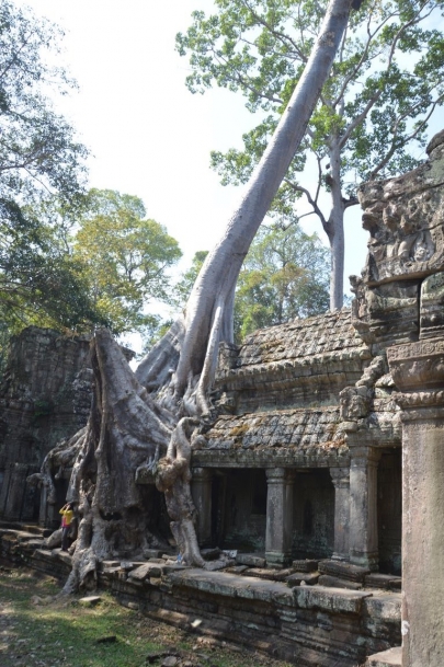 angkor (135)