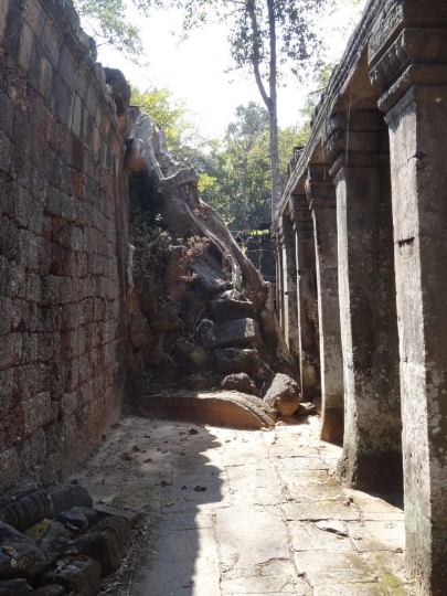 angkor (225)