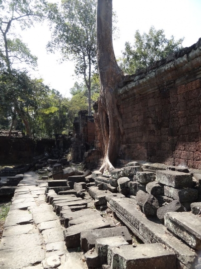 angkor (227)