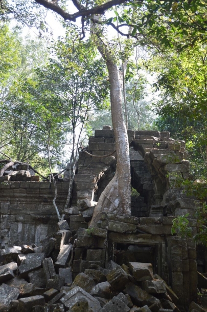 angkortemples (21)