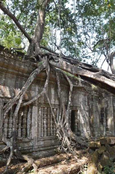 angkortemples (42)