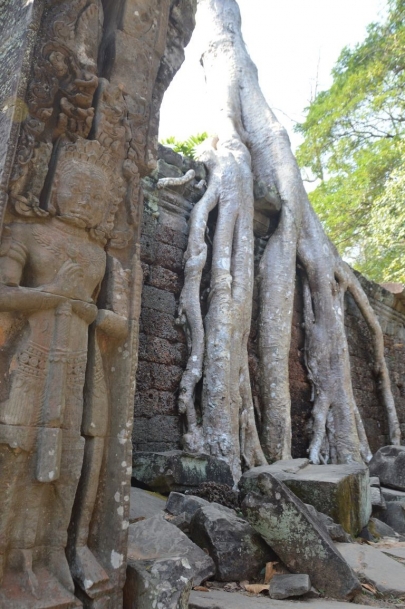 veloangkor (18)