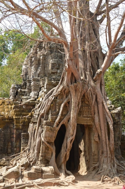 veloangkor (36)