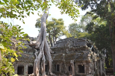 veloangkor (58)