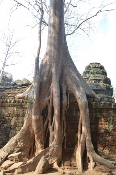 veloangkor (71)
