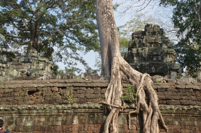 veloangkor (73)