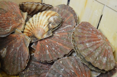 ateliergourmand (11)