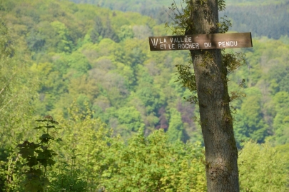 hoteldesardennes (73)