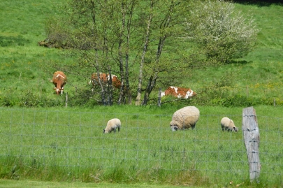 latabledemaxime (12)