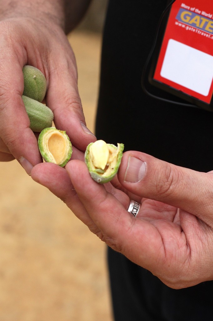 Sicily Part 1: Valley of The Temples