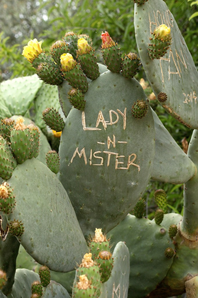 Sicily Part 1: Valley of The Temples