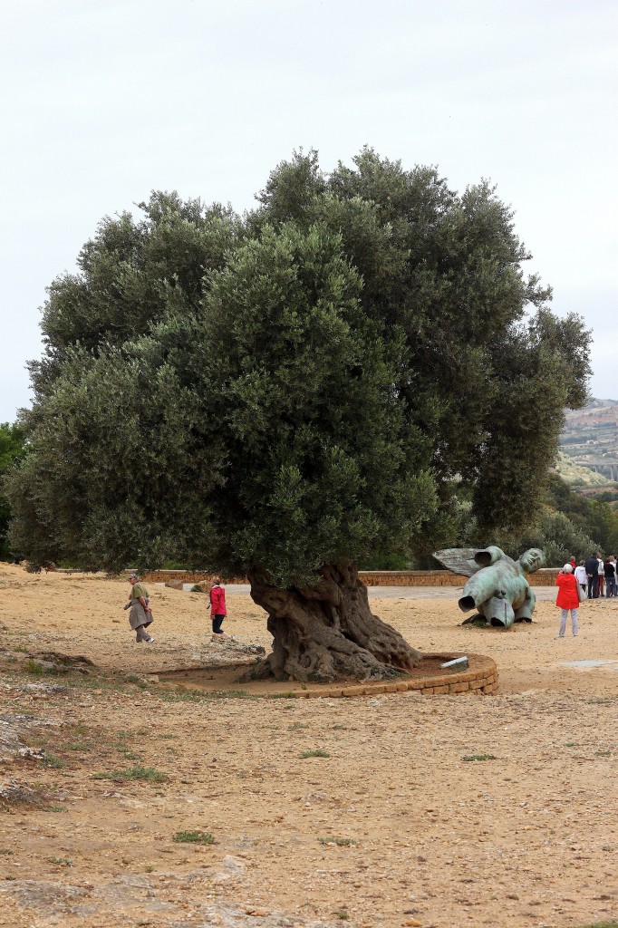 Sicily Part 1: Valley of The Temples