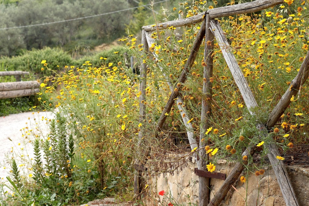 Sicily Part 1: Valley of The Temples