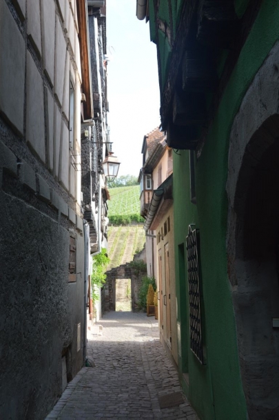 riquewihr (21)
