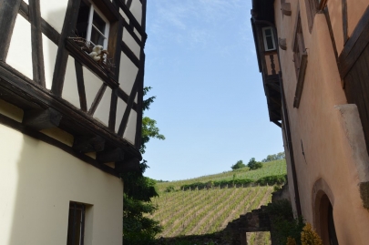 riquewihr (24)