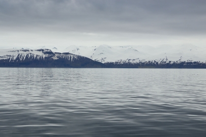 husavik-baleines (12)