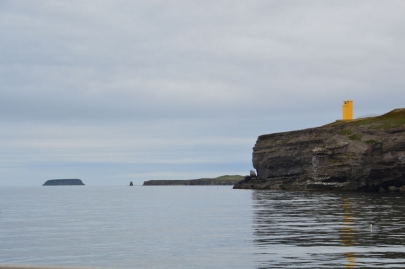 husavik-baleines (13)