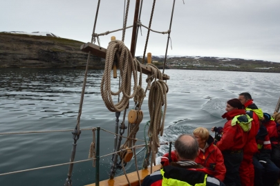 husavik-baleines (14)