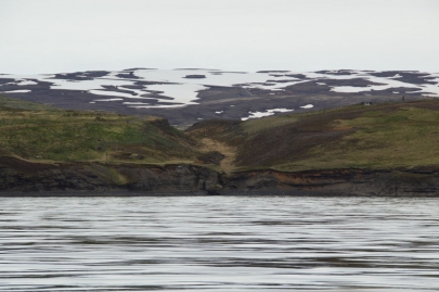 husavik-baleines (16)